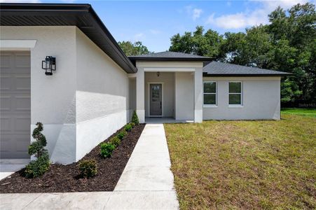 New construction Single-Family house 227 W Fern Drive, Orange City, FL 32763 - photo 2 2