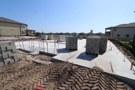 New construction Single-Family house 9464 Seagrass Port Pass, Wesley Chapel, FL 33545 Barcello Bonus- photo 8 8