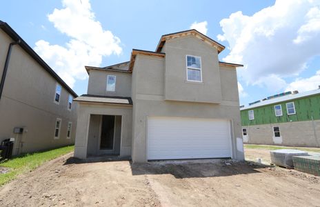 New construction Single-Family house 2463 Sunny Pebble Loop, Zephyrhills, FL 33540 Castellana- photo 72 72