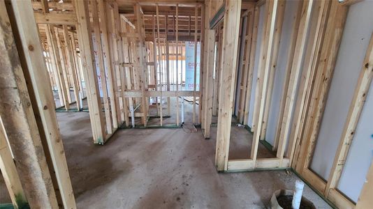 New construction Single-Family house 922 Palo Brea Loop, Hutto, TX 78634 Livingston Homeplan- photo 21 21