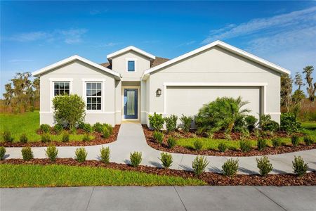 New construction Single-Family house 9823 Eventide Trail, Parrish, FL 34219 - photo 0