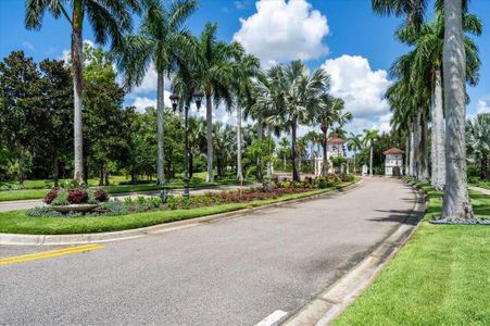 New construction Single-Family house 1529 Rio Vista Terrace, Parrish, FL 34219 - photo 6 6