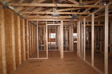 New construction Single-Family house 3024 King Fern Drive, Wimauma, FL 33598 Mira Lago- photo 25 25