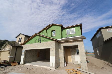 New construction Single-Family house 5254 Currant Street, Lakeland, FL 33811 Marina- photo 51 51