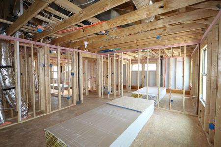 New construction Single-Family house 1804 Persimmon Place, Celina, TX 75009 Carmine- photo 5 5