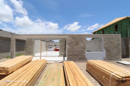 New construction Single-Family house 31840 Sapna Chime Drive, Wesley Chapel, FL 33545 Casanova- photo 14 14