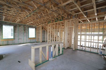 New construction Single-Family house 5254 Currant Street, Lakeland, FL 33811 Marina- photo 16 16