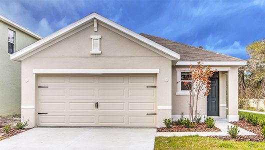 New construction Single-Family house Allex, 31347 Penny Surf Loop, Wesley Chapel, FL 33545 - photo