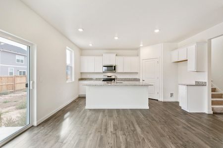 New construction Single-Family house 14065 Alpine Phlox Ln, Parker, CO 80134 HOLCOMBE- photo 14 14