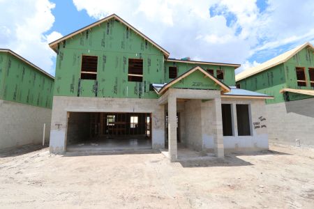 New construction Single-Family house 31852 Sapna Chime Drive, Wesley Chapel, FL 33545 Renau- photo 24 24