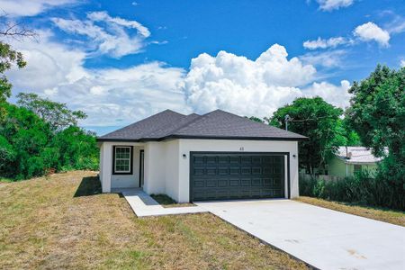 New construction Single-Family house 48 Atlantic Avenue, Babson Park, FL 33827 - photo 0