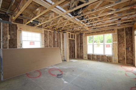 New construction Single-Family house 3110 Armeria Drive, Apex, NC 27502 Brittain - Signature Collection- photo 13 13