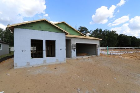New construction Single-Family house 12032 Hilltop Farms Drive, Dade City, FL 33525 Marque- photo 13 13