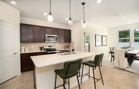 New construction Single-Family house Rolling Hills Drive, Saint Augustine, FL 32086 - photo 7 7