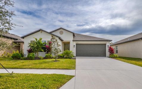 New construction Single-Family house 5490 Blue Azure Drive, Wimauma, FL 33598 - photo 0 0