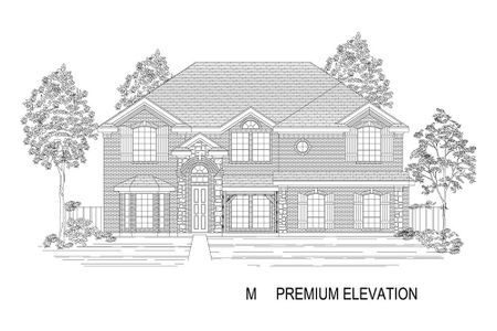 New construction Single-Family house 5112 Amherst Court, Parker, TX 75002 - photo 17 17