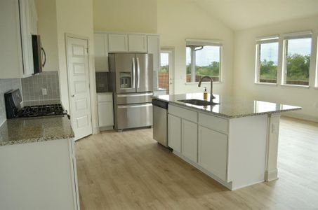 New construction Single-Family house 16820 Ponte Cv, Pflugerville, TX 78660 - photo 8 8