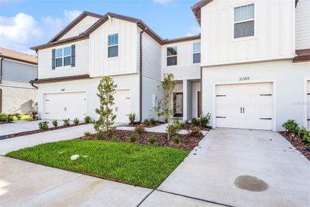 New construction Townhouse house 31385 Amberview Bend, Wesley Chapel, FL 33545 - photo 0 0