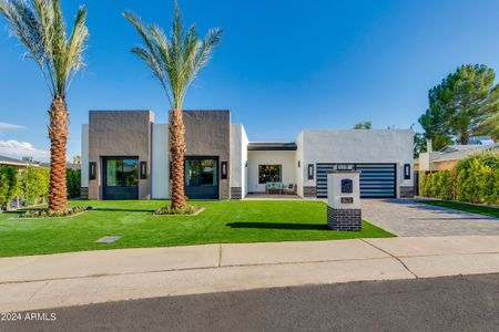 PALM TREE FRAMED EXTERIOR