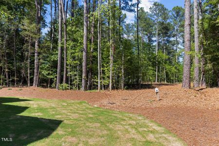 New construction Single-Family house 3691 Graham Sherron Road, Wake Forest, NC 27587 - photo 34 34