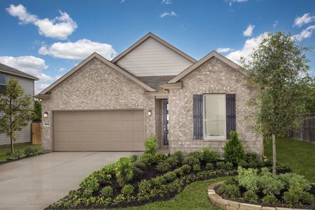 New construction Single-Family house Nighthawk Rd. And Sanderling Circle, Hitchcock, TX 77563 - photo 6 6