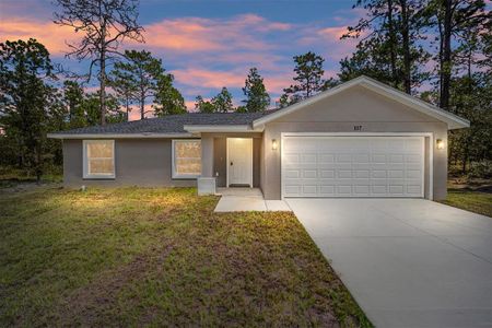 New construction Single-Family house 117 Nw Sparrow Road, Dunnellon, FL 34431 - photo 35 35