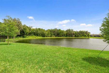 New construction Single-Family house 11211 Little River Way, Parrish, FL 34219 - photo 36 36