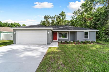 New construction Single-Family house 25 Fisher Trace, Ocklawaha, FL 32179 Lynnette- photo 0