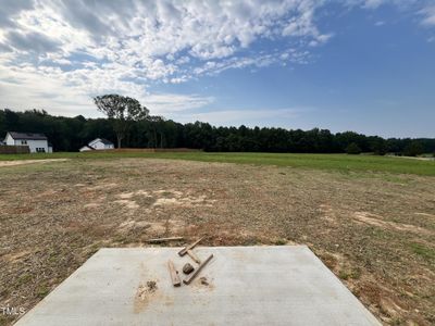 New construction Single-Family house 189 Danube Drive, Zebulon, NC 27597 - photo 6 6