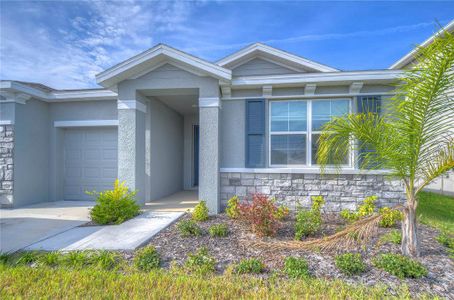 New construction Single-Family house 12463 Shining Willow Street, Riverview, FL 33579 Camden- photo 5 5