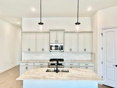 New construction Single-Family house 1104 Oak Chase Way, Leander, TX 78641 Manor Series - Augusta- photo 10 10