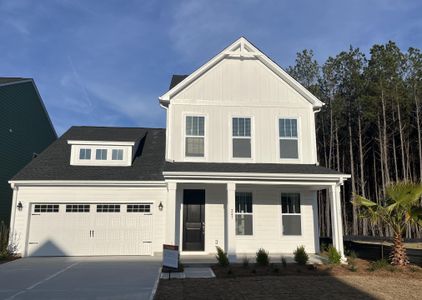 New construction Single-Family house 247 Summer Tanager Drive, Ravenel, SC 29470 Devin - photo 0