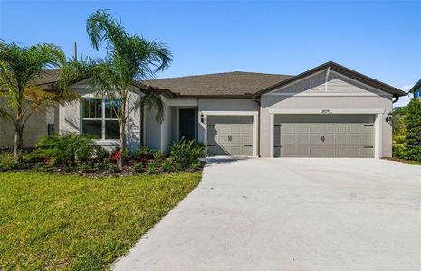 New construction Single-Family house 12071 Orchid Ash, Riverview, FL 33579 - photo 0