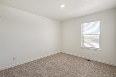 New construction Single-Family house 2729 72Nd Ave Ct, Greeley, CO 80634 BELLAMY- photo 28 28