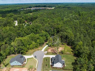 New construction Single-Family house 204 Red Cardinal Court, Youngsville, NC 27596 - photo 65 65