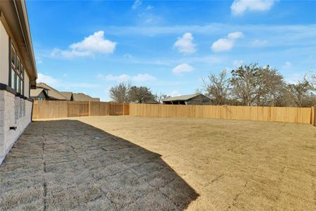 New construction Single-Family house 2001 Milano River Rd, Hutto, TX 78634 Premier Series - Oleander- photo 19 19