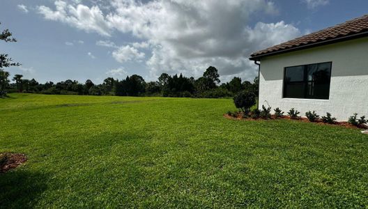 New construction Single-Family house 296 Se Filoli Drive, Unit 236, Port Saint Lucie, FL 34984 - photo 21 21