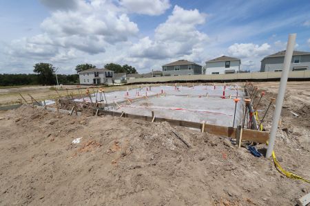 New construction Single-Family house 31793 Sapna Chime Drive, Wesley Chapel, FL 33545 Picasso- photo 0
