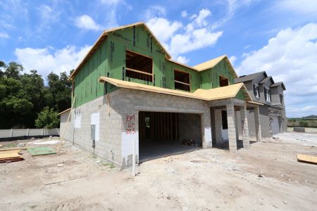New construction Single-Family house 2530 Sunny Pebble Loop, Zephyrhills, FL 33540 Salinas- photo 11 11