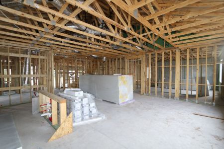 New construction Single-Family house 5092 Bromeliad Avenue, Wimauma, FL 33598 Barcello Bonus- photo 23 23