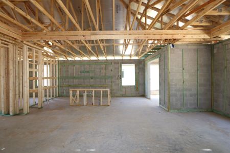 New construction Single-Family house 12032 Hilltop Farms Drive, Dade City, FL 33525 Marque- photo 16 16
