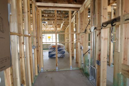 New construction Single-Family house 31835 Sapna Chime Drive, Wesley Chapel, FL 33545 Salinas- photo 42 42