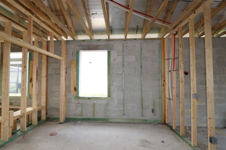 New construction Single-Family house 2941 Marine Grass Drive, Wimauma, FL 33598 Barcello- photo 20 20