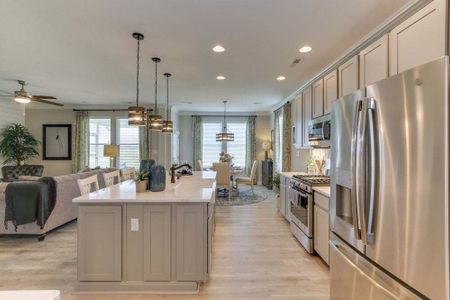 New construction Single-Family house 116 Baird Cove Lane, Angier, NC 27501 The Concerto- photo 4