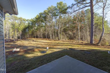 New construction Single-Family house 65 Chester Lane, Unit 6, Middlesex, NC 27557 - photo 20