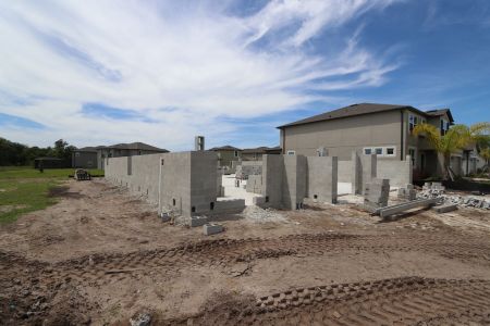 New construction Single-Family house 2941 Marine Grass Drive, Wimauma, FL 33598 Barcello- photo 6 6
