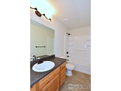New construction Single-Family house 2333 Graceful St, Windsor, CO 80550 The New Jersey- photo 35 35
