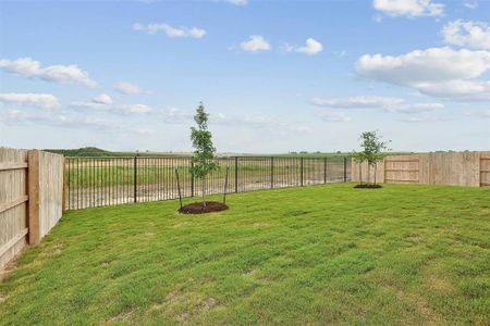 New construction Single-Family house 20409 Dustin Ln, Pflugerville, TX 78660 - photo 30 30