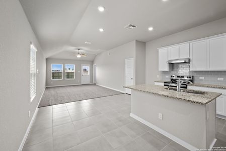 New construction Single-Family house 1312 Moby Drive, New Braunfels, TX 78130 Primrose- photo 13 13