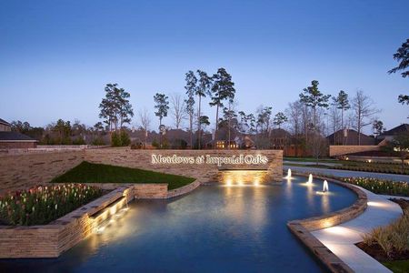 The Meadows at Imperial Oaks by David Weekley Homes in Conroe - photo